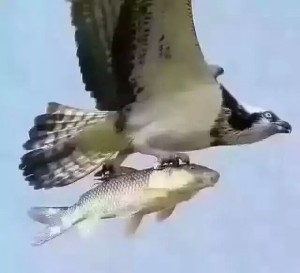 言之有理